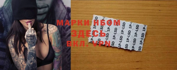крисы Новокубанск