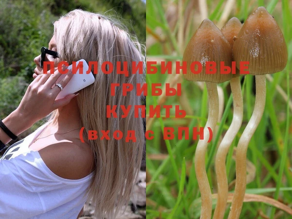 мдпв Нея