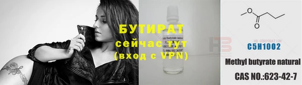 индика Пенза