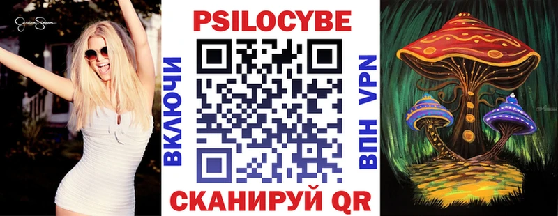закладка  MEGA ССЫЛКА  Галлюциногенные грибы мицелий  Катав-Ивановск 